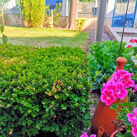 Gasthuis перфекто Chernomorets