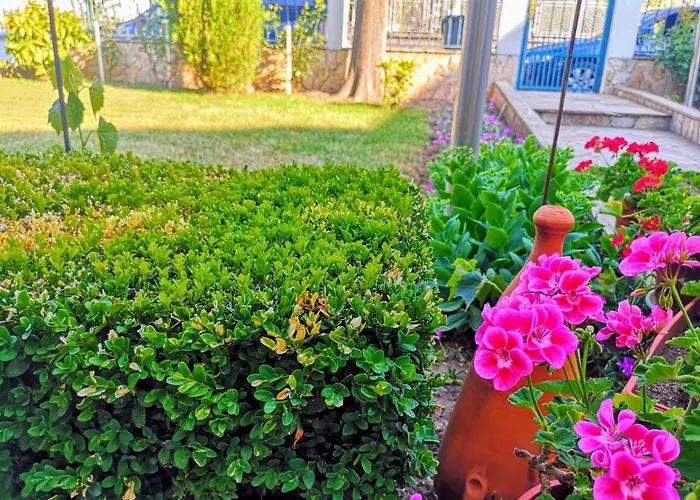 ゲストハウス перфекто チェルノモレツ